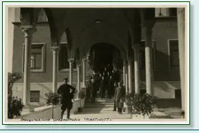 Foto tratte dal web