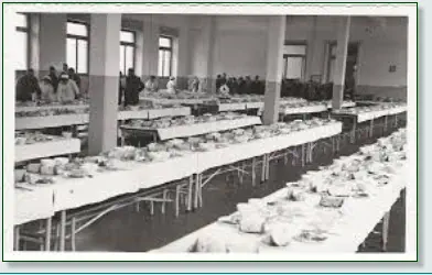 Foto tratte dal web
